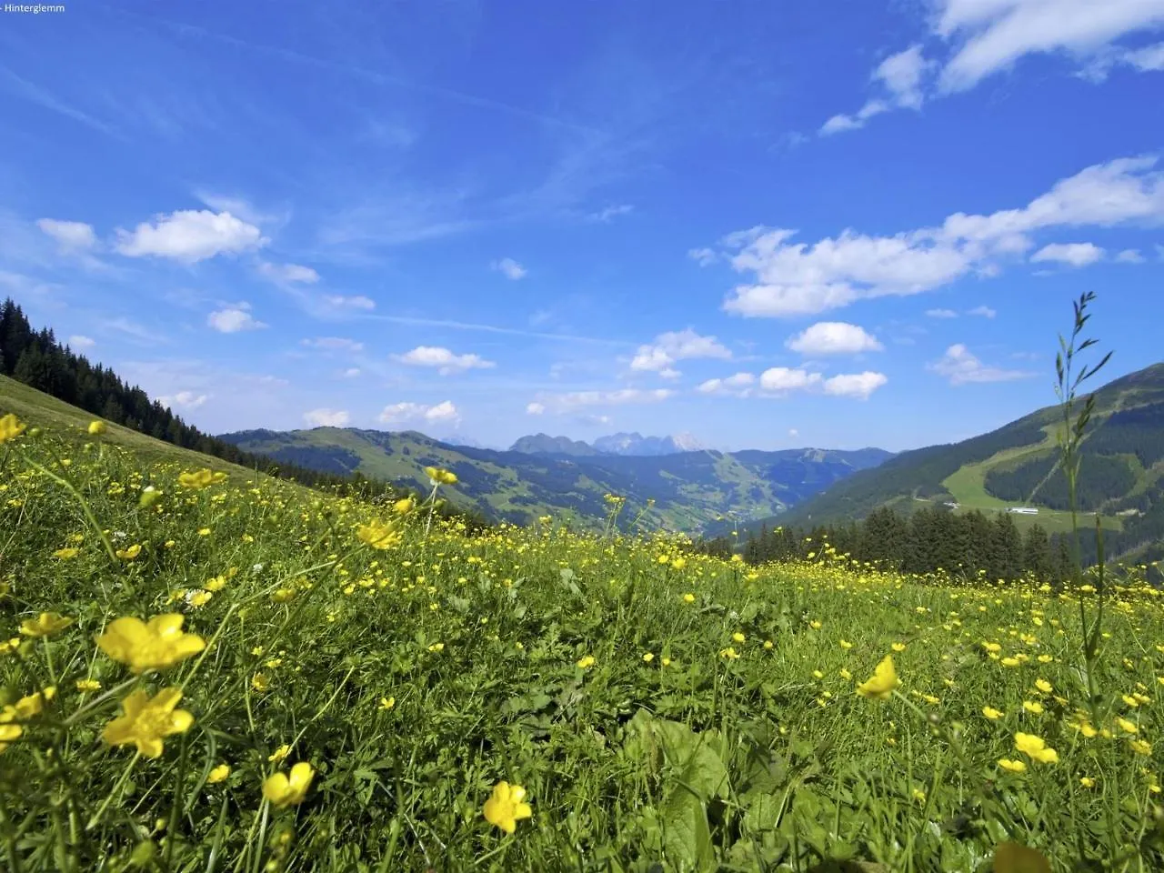 Elfi Apartment Saalbach-Hinterglemm Austria