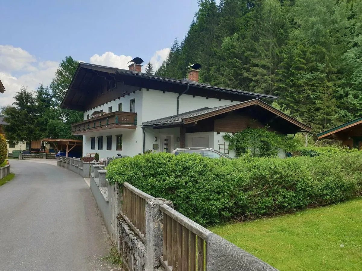 Elfi Apartment Saalbach-Hinterglemm